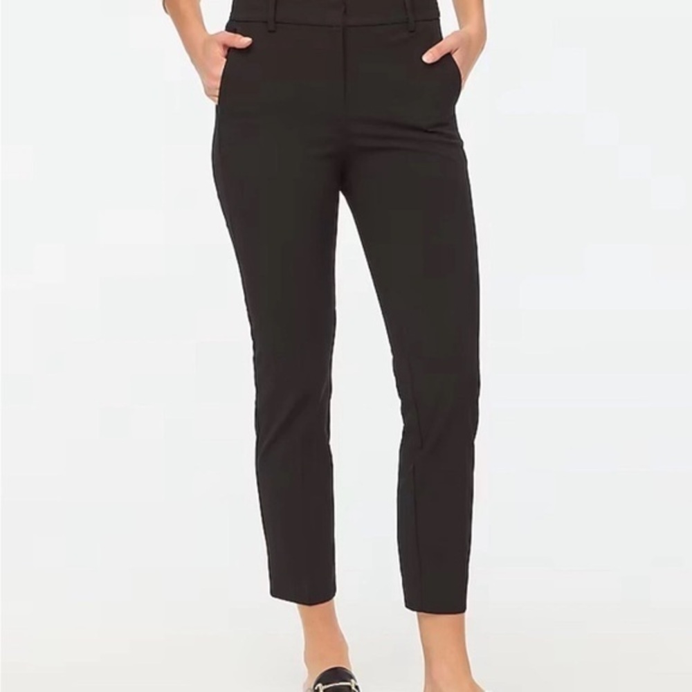 J. Crew Ruby Business Casual Career Wear Full-length Suit Pants Size 10